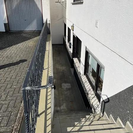 Apartment Rheintraum Soutterain Mit Infrarotsauna *