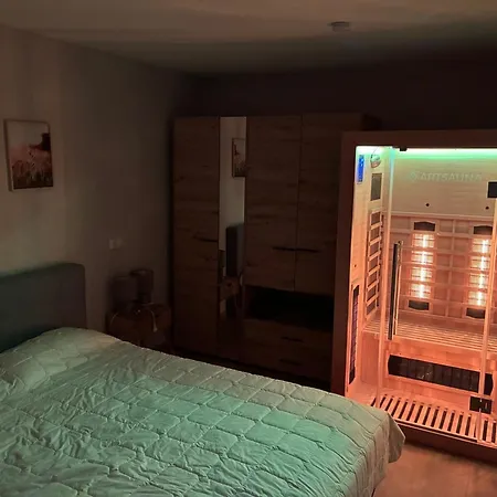 Rheintraum Soutterain Mit Infrarotsauna Apartman *